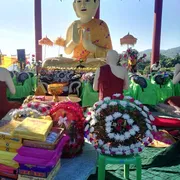 Activity Photo 272
