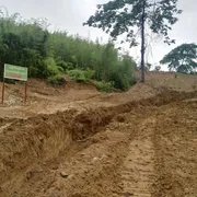 Construction Progress Photo 42