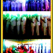 Activity Photo 202