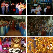 Activity Photo 5