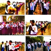 Activity Photo 12