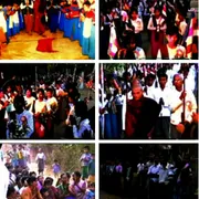Activity Photo 14