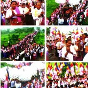 Activity Photo 16