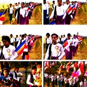 Activity Photo 17