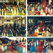 Activity Photo 24