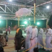Activity Photo 82